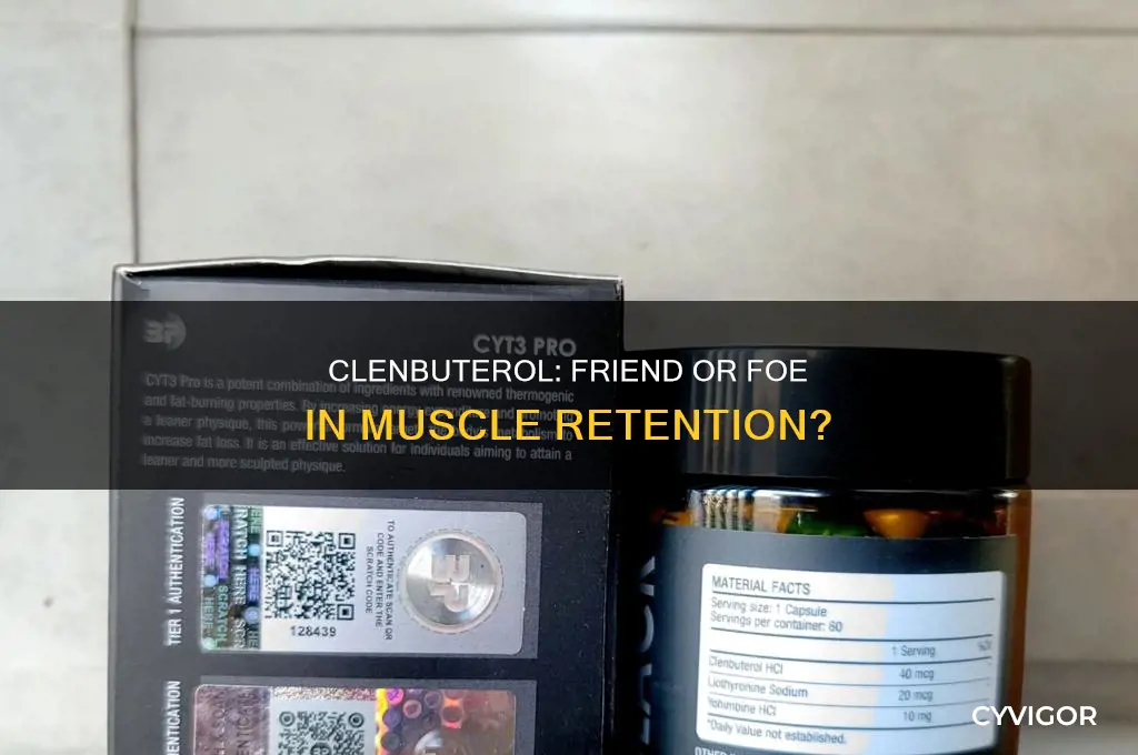 does clenbuterol cause muscle loss