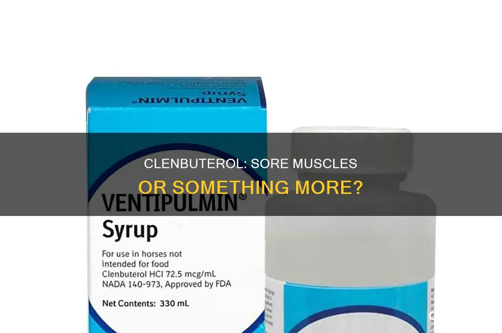 does clenbuterol cause muscle soreness