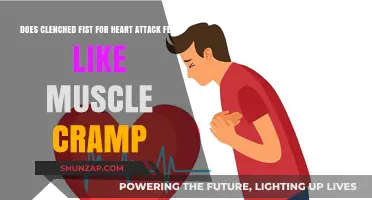 Heart Attack or Muscle Cramp? Understanding the Difference