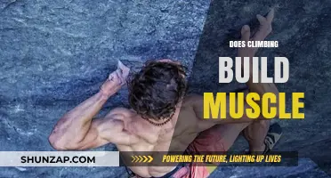 Unleashing Strength: The Muscle-Building Benefits of Climbing