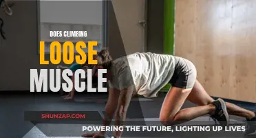 Climbing: Building Muscle or Losing It?
