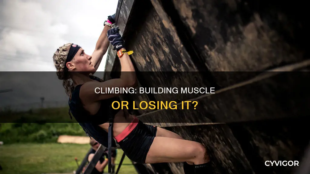 does climbing loose muscle