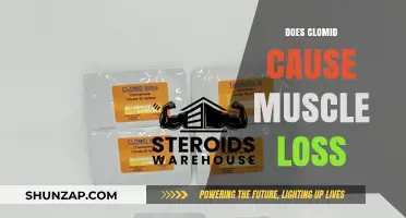 Clomid and Muscle Loss: What's the Real Deal?