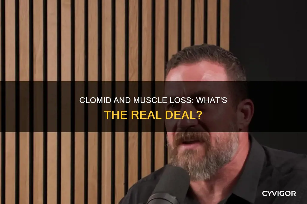 does clomid cause muscle loss