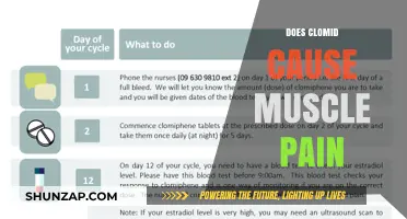 Clomid and Muscle Pain: What's the Connection?