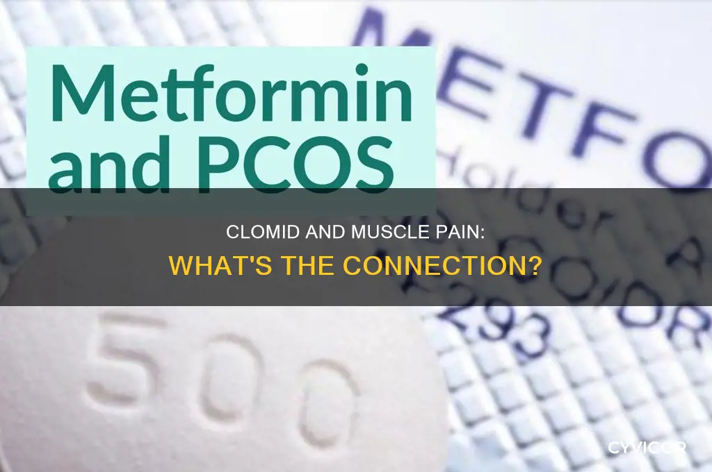 does clomid cause muscle pain