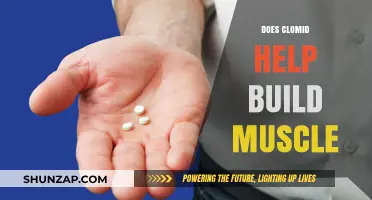 Exploring Clomid's Role in Muscle Building: Facts and Myths