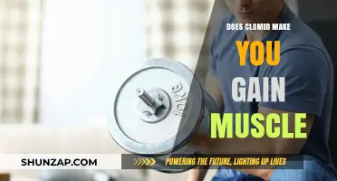 Does Clomid Boost Muscle Growth? Facts and Myths Explained