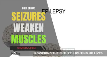 Clonic Seizures: Understanding Their Impact on Muscle Strength