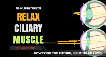 Relaxing Ciliary Muscles: Does Closing Your Eyes Really Help?