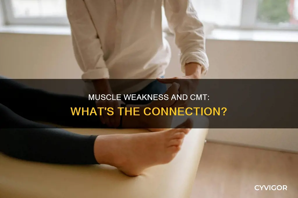 does cmt always cause muscle weakness