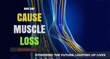 Understanding CMT: Exploring the Link Between CMT and Muscle Loss