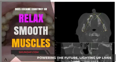 Cocaine's Effect on Smooth Muscles: Constriction or Relaxation Explained