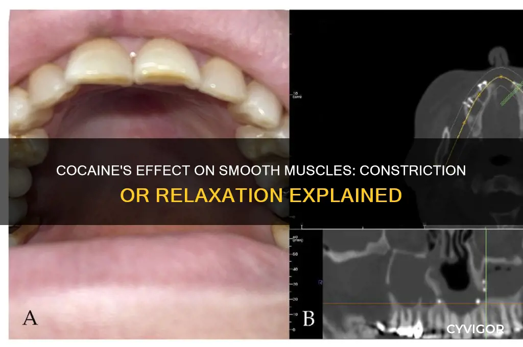 does cocaine constrict or relax smooth muscles