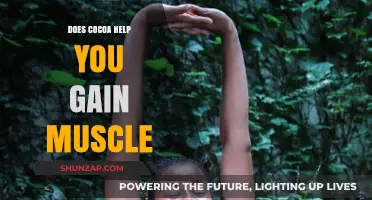 Cocoa and Muscle Growth: Unlocking the Potential for Strength Gains