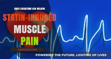 Can Coenzyme Q10 Alleviate Muscle Pain Caused by Statins?
