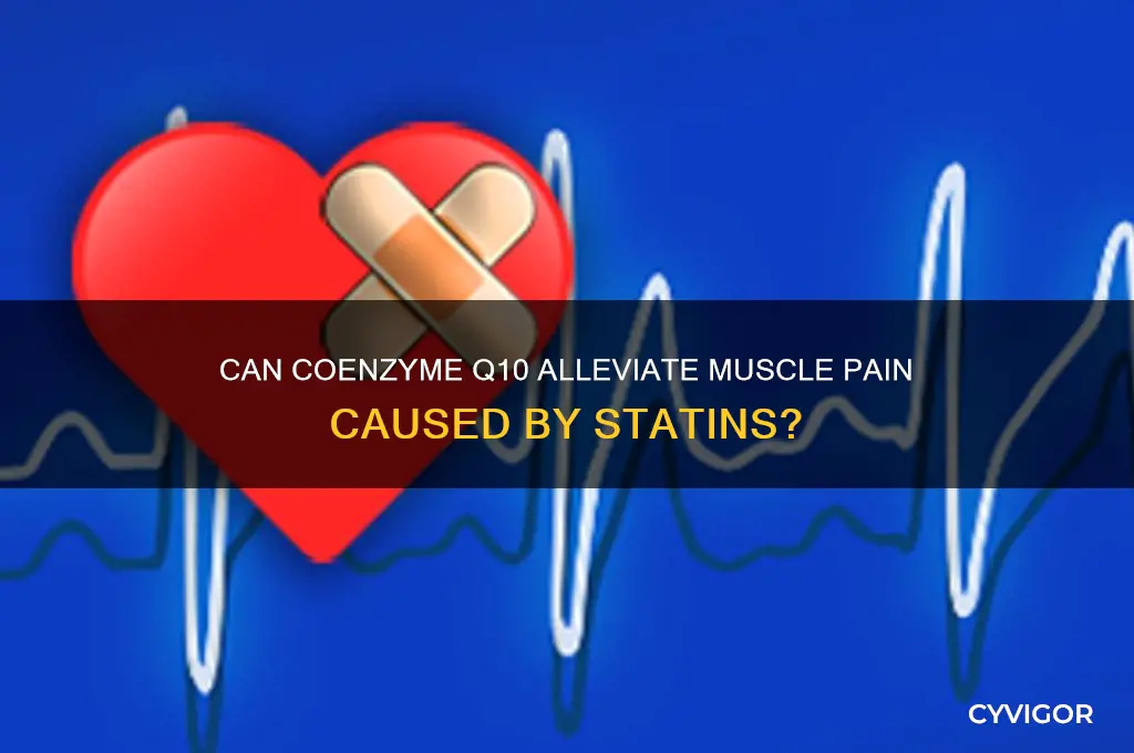 does coenzyme q10 relieve statin-induced muscle pain