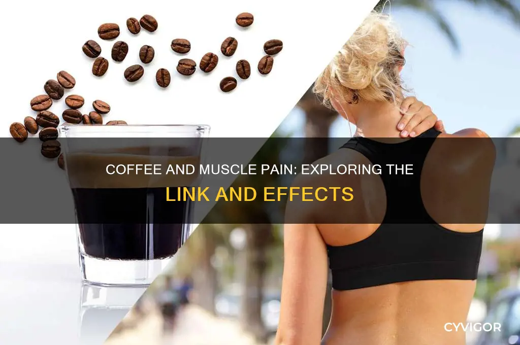 does coffee affect muscle pain