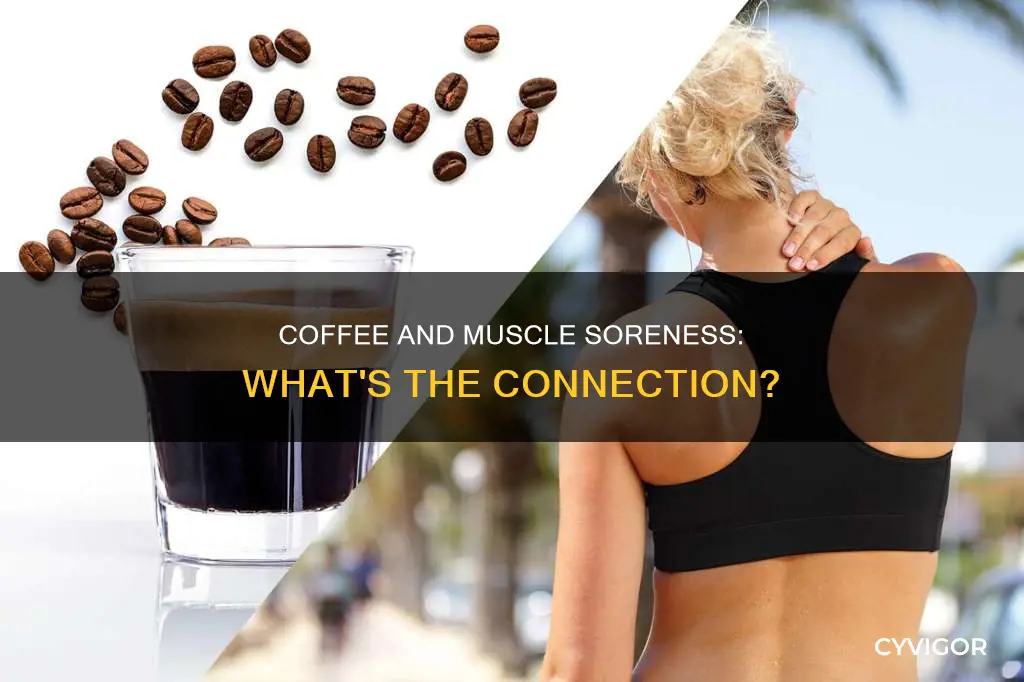 does coffee reduce muscle soreness