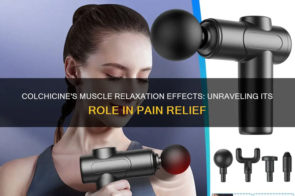 does colchicine relax muscles