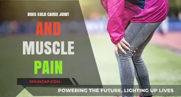 Cold Weather and Joint Pain: What's the Link?