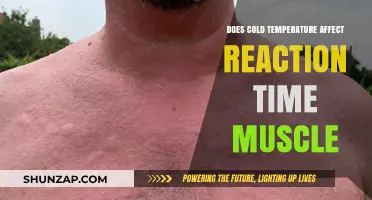 Chilling Effects: How Cold Temps Impact Muscle Reaction Time