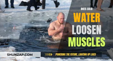 Cold Water Therapy: Muscle Relaxation and Recovery
