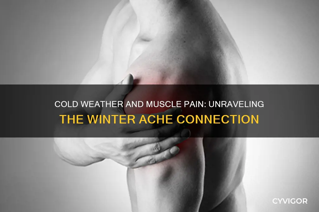 does cold weather make muscle pain worse