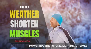 Cold Weather's Impact: Do Muscles Shorten?