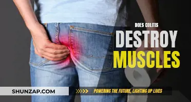 Colitis and Muscle Loss: What's the Connection?