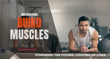 Collagen's Role in Muscle Building: Fact or Fiction?