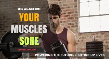 Does Collagen Cause Muscle Soreness? Unraveling the Truth Behind the Pain