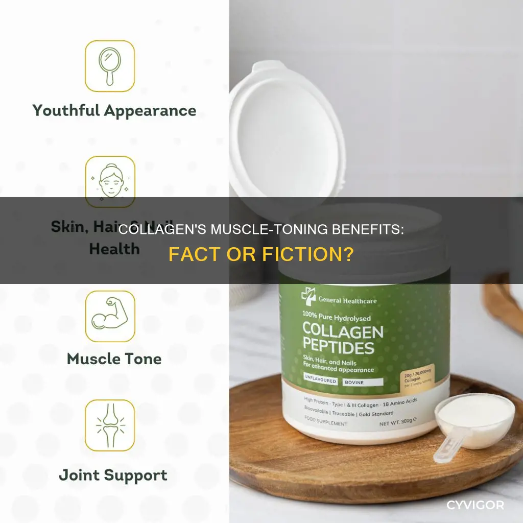 does collagen tone your muscles