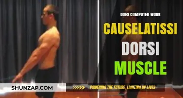 Does Computer Work Cause Latissimus Dorsi Muscle Strain or Pain?