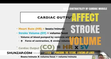 Exploring the Link Between Cardiac Contractility and Stroke Volume