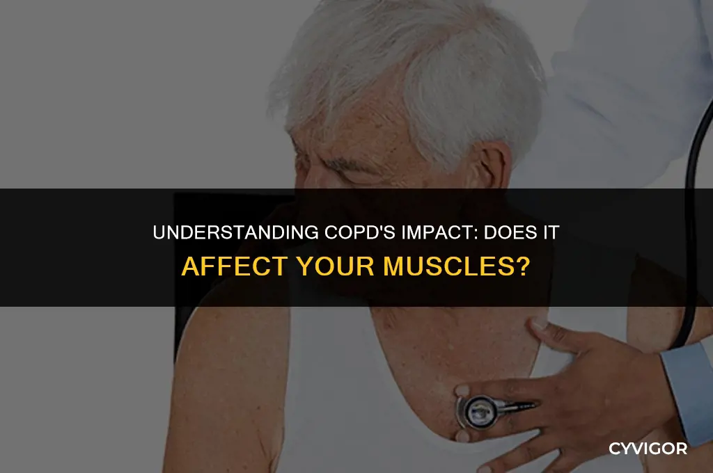 does copd affect your muscles