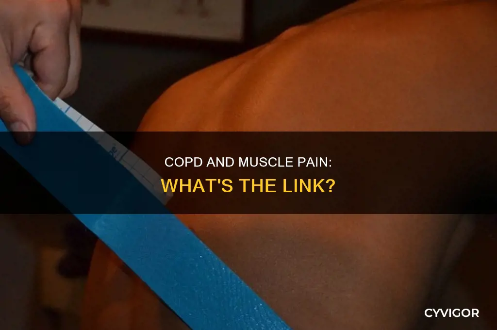 does copd cause muscle pain