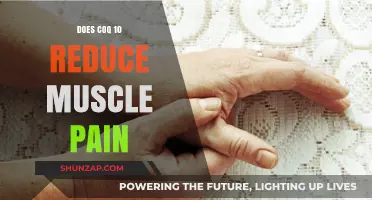 Can Coq10 Relieve Muscle Pain? Exploring Its Potential Benefits