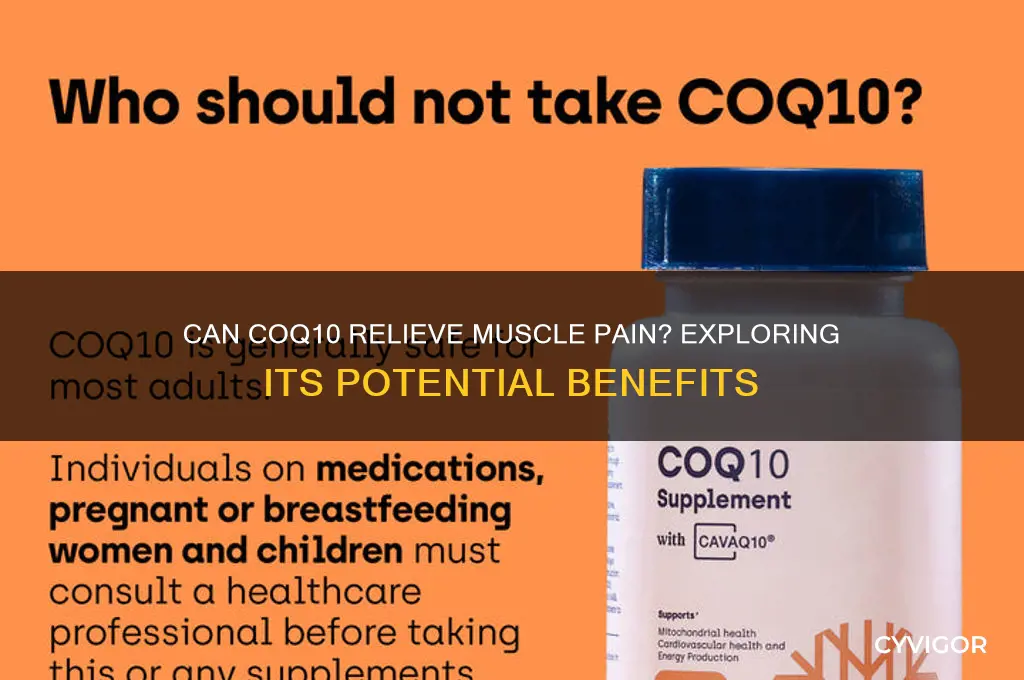 does coq 10 reduce muscle pain