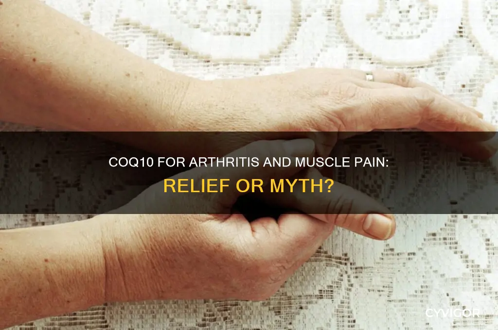 does coq 10help arthritis amd muscle pain