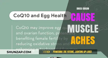 CoQ10 and Muscle Aches: What's the Link?