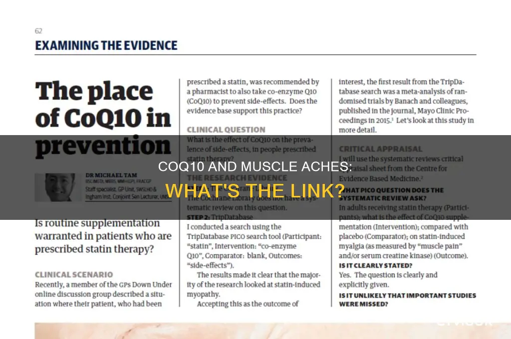 does coq10 cause muscle aches