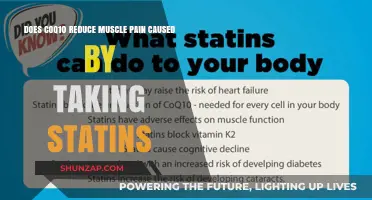 CoQ10: Reducing Statin-Related Muscle Pain and Discomfort