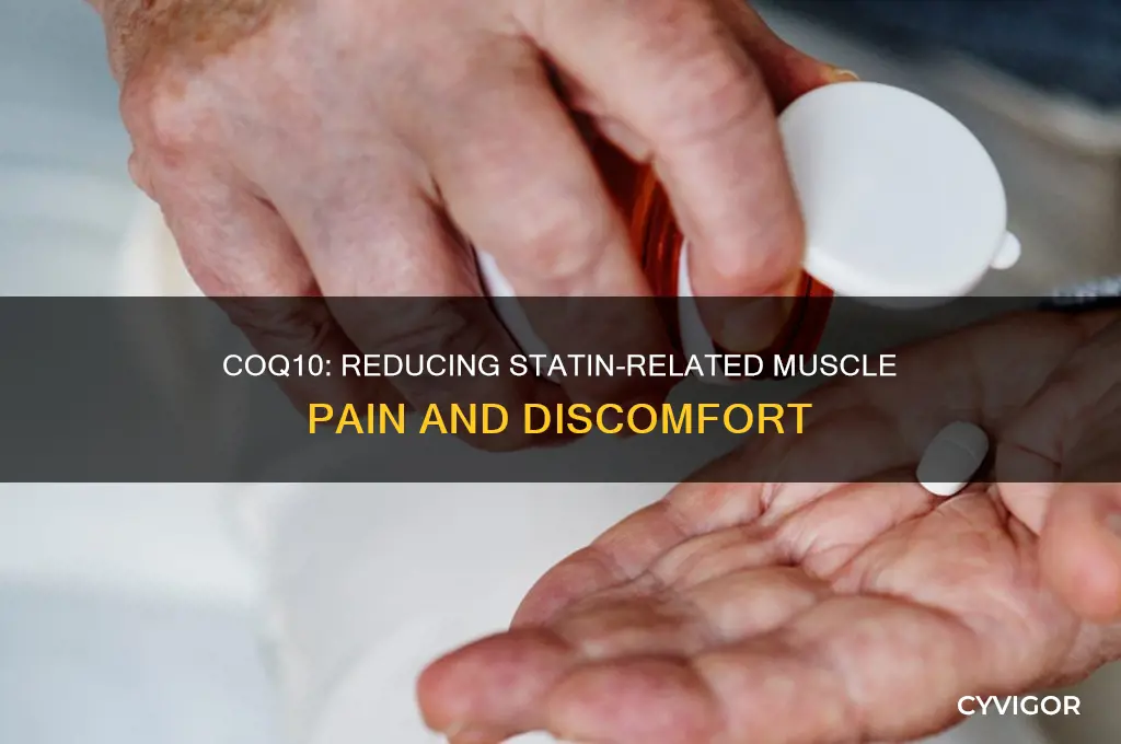 does coq10 reduce muscle pain caused by taking statins