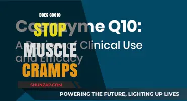 Exploring the Benefits of Coq10 for Muscle Cramp Relief