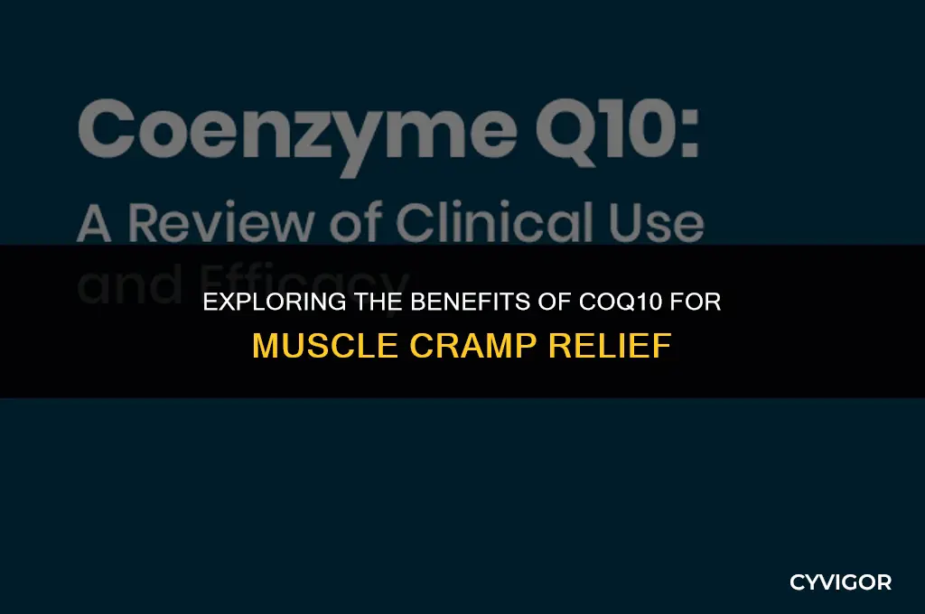does coq10 stop muscle cramps