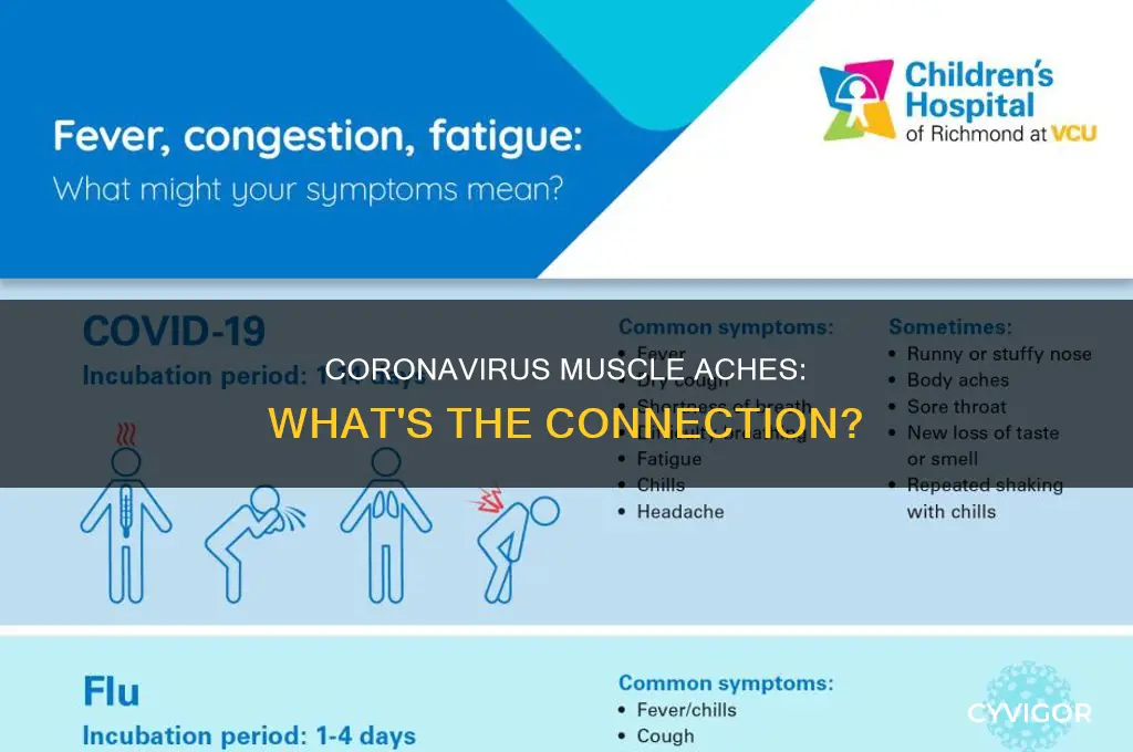 does corona virus cause muscle aches