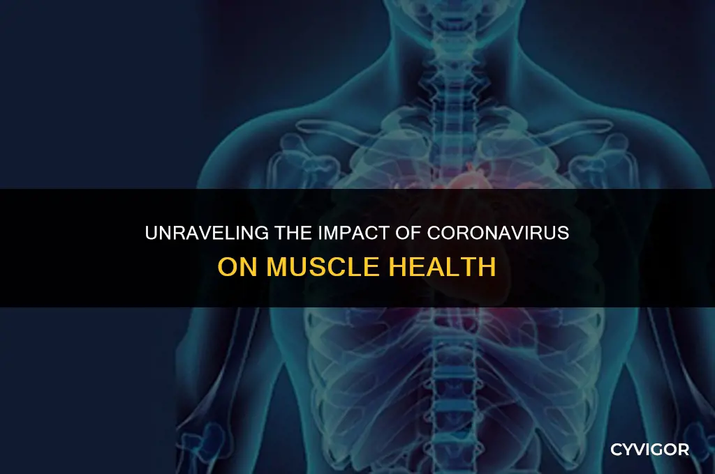 does coronavirus affect muscles