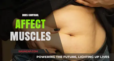 Unveiling the Impact of Cortisol on Muscle Health and Performance
