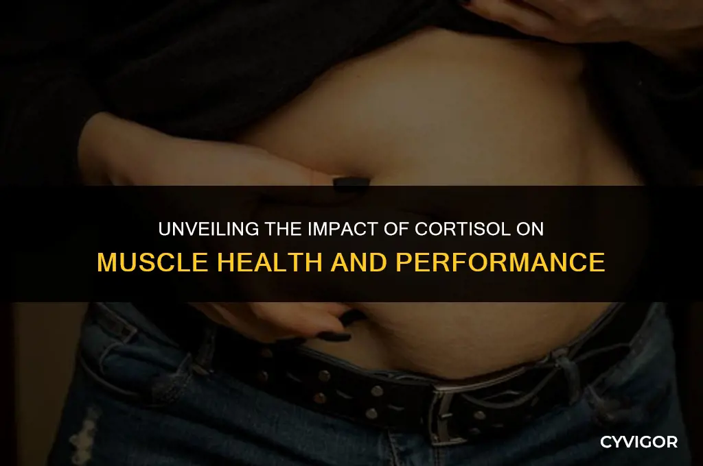 does cortisol affect muscles